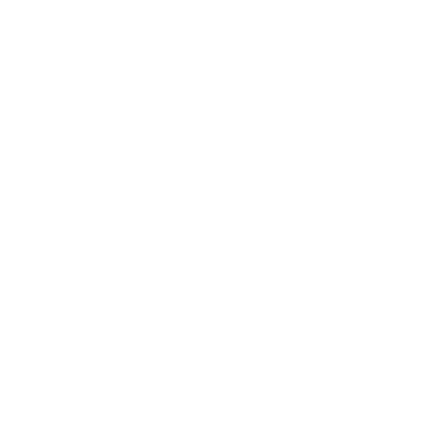 Weterynaryjna diagnostyka USG - ikona